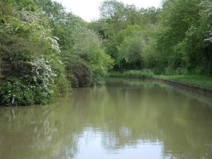 South Oxford Canal 
