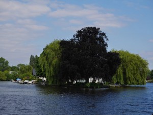 Pharaoh's Island near the junction of the Thames and Wey rivers.